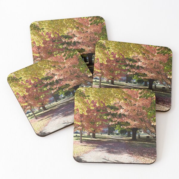 Item preview, Fall Path designed and sold by tiramisumoo.