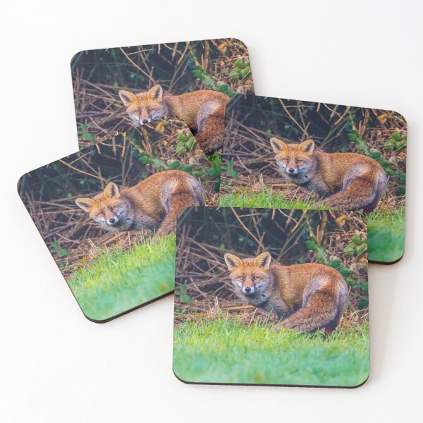 Item preview, Curious Red Fox  designed and sold by Dalyndigital Photography.