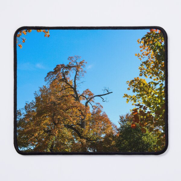 Item preview, Fall Tree Tops designed and sold by tiramisumoo.