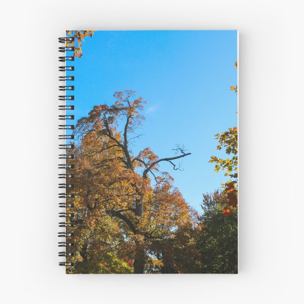Item preview, Fall Tree Tops designed and sold by tiramisumoo.