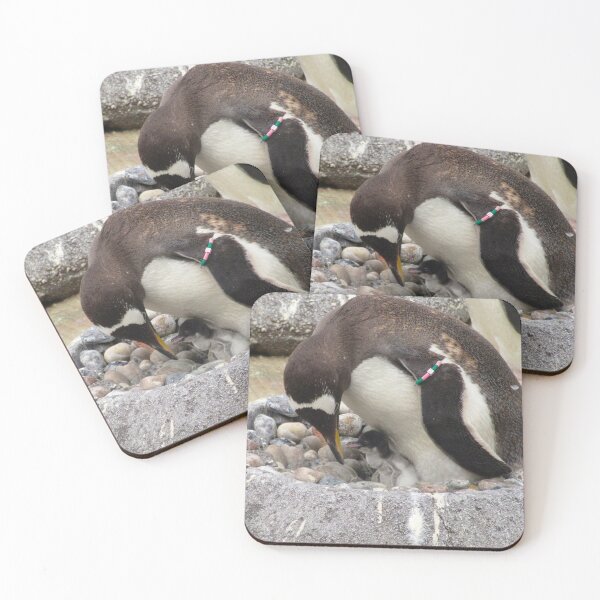 Item preview, Penguin with baby designed and sold by ejrphotography.