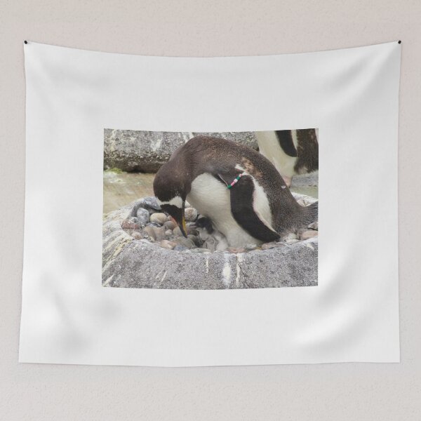 Item preview, Penguin with baby designed and sold by ejrphotography.