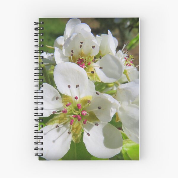 Item preview, Peach blossom designed and sold by AHELENE.