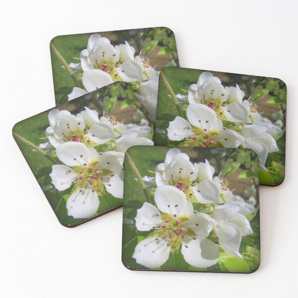 Item preview, Peach blossom designed and sold by AHELENE.
