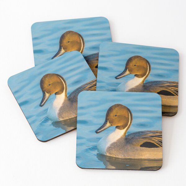 Item preview, Pintail Duck Drake designed and sold by Dalyndigital Photography.