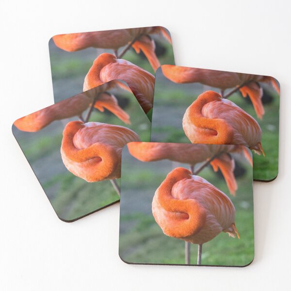 Item preview, Caribbean Flamingo curves designed and sold by Dalyndigital Photography.