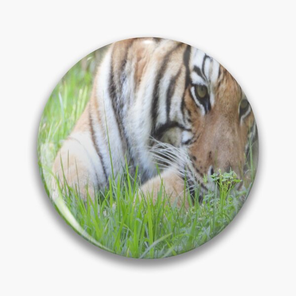 Item preview, The Eyes of the Tiger designed and sold by PhotosBySusanne.