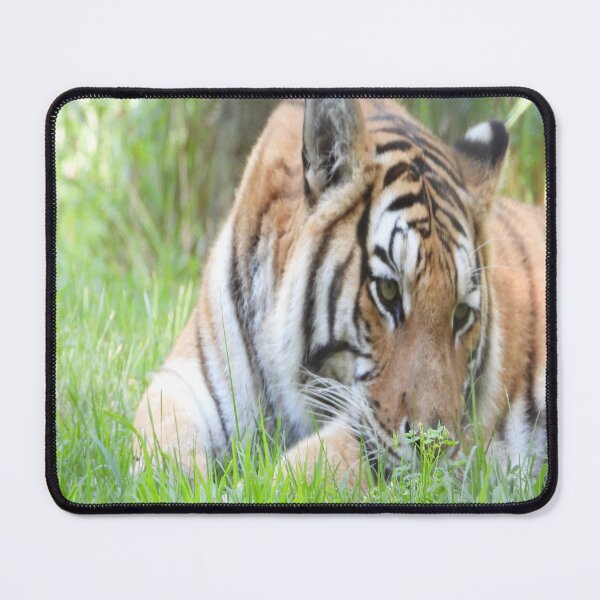Item preview, The Eyes of the Tiger designed and sold by PhotosBySusanne.