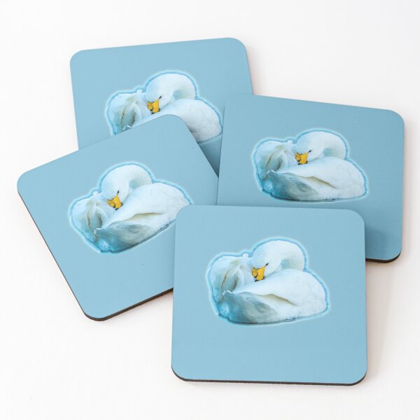 Item preview, Bewicks  Swan Preening designed and sold by Dalyndigital Photography.