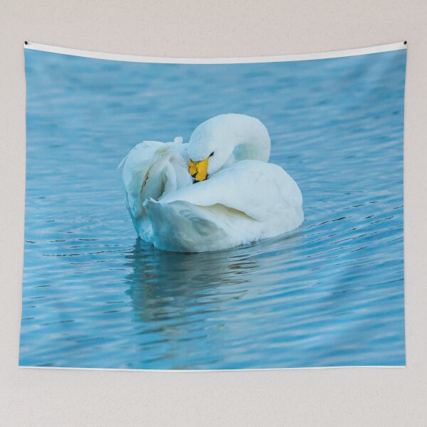 Item preview, Bewicks  Swan Preening designed and sold by Dalyndigital Photography.