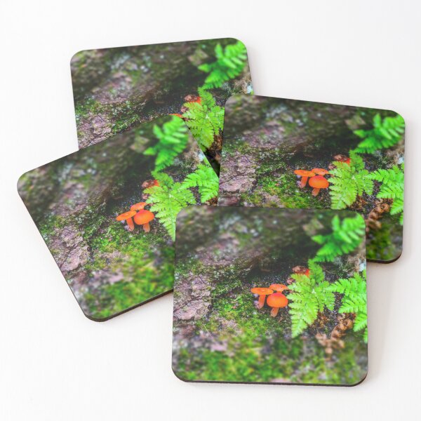 Item preview, Mushrooms And Ferns designed and sold by JMDesignHouse.