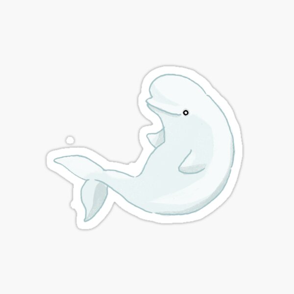 Beluga Whale Sticker