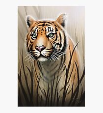 Tiger Photographic Print