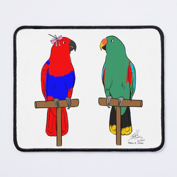 Item preview, Crazy Bird Person with Ecluctus Parrots designed and sold by Laughing Parrot Studio.