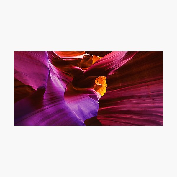 Amaranthine Embrace Photographic Print