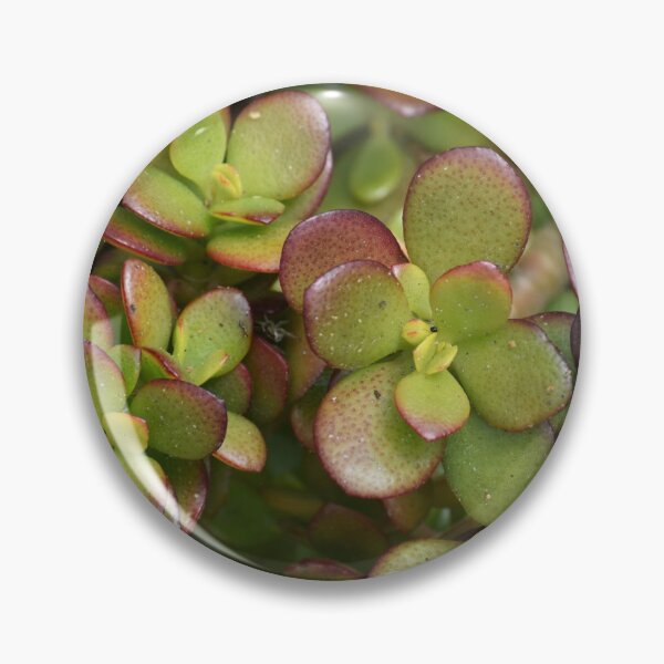 Item preview, Succulents Close Up designed and sold by NottingHill.