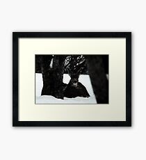 Winter Survival Framed Print