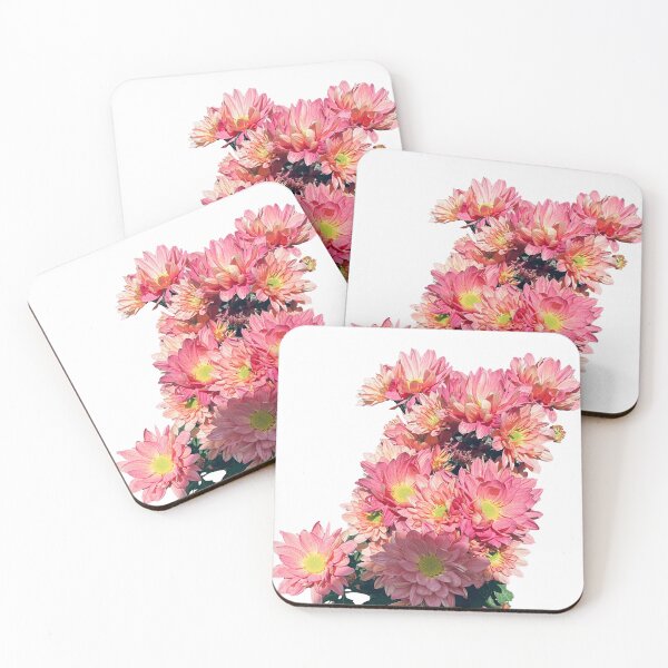 Item preview, pink pomas | beautiful, cared, loved and aesthetic flowers | petals | nature | white BG designed and sold by Kdlp.