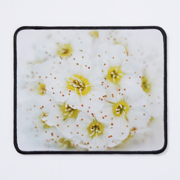 Item preview, White flower designed and sold by kadmil.