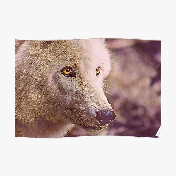 Rose Gold Wolf Galaxy Poster