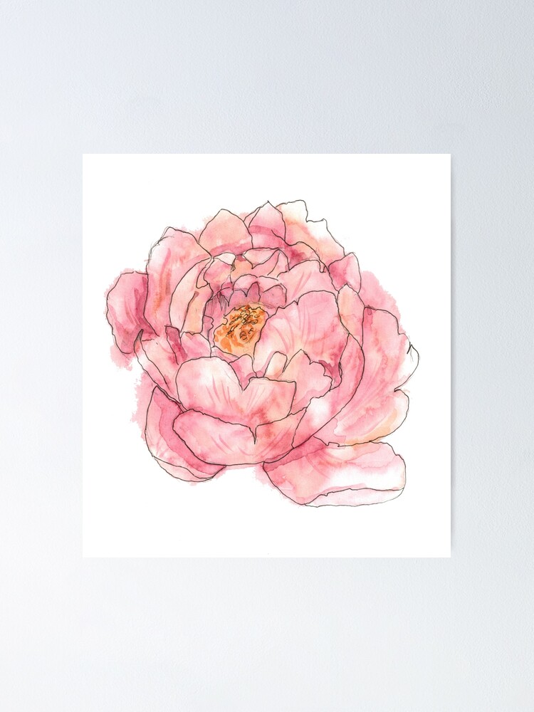 Pink Peony Poster