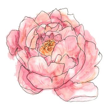 Artwork thumbnail, Peony by irenealmalv