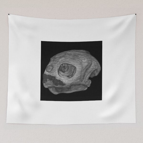 Item preview, Loggerhead Turtle Skull - Coffee Painting designed and sold by Adam Kelsall.