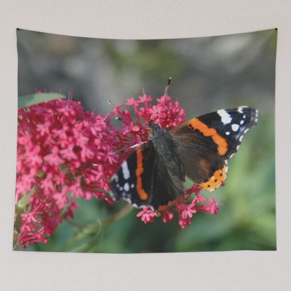 Item preview, Butterfly designed and sold by Lindisfarne Scriptorium.