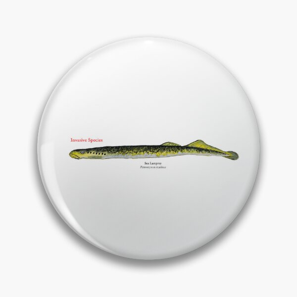 Item preview, Sea Lamprey designed and sold by Stephen Emms.