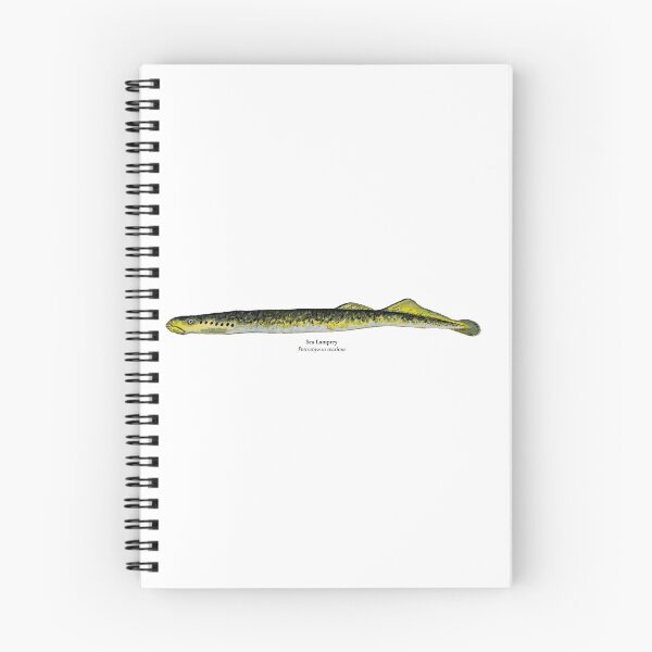 Item preview, Sea Lamprey designed and sold by Stephen Emms.
