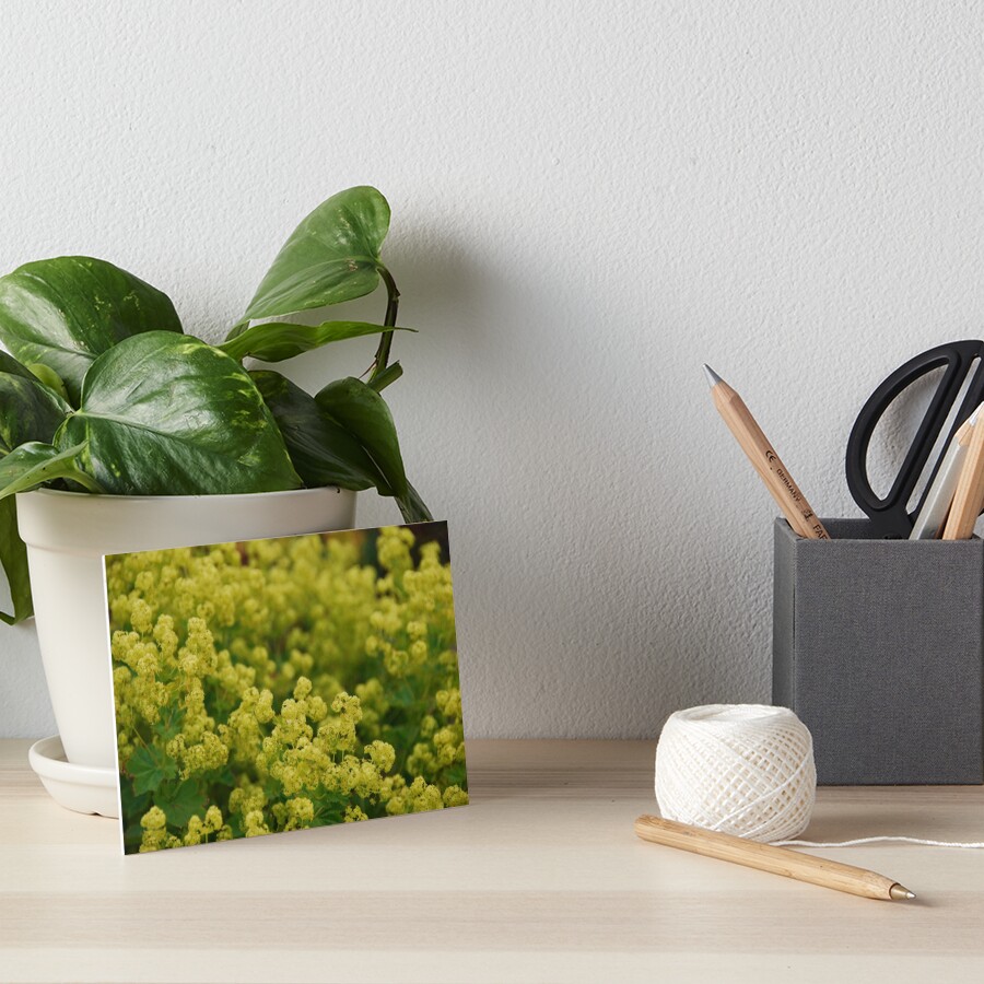 Untitled Art Board Print