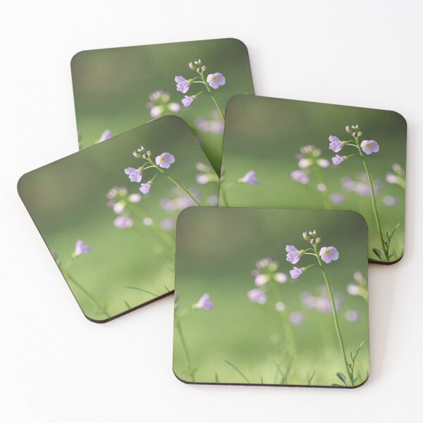Item preview, Cuckoo Flower, Cardamine pratensis designed and sold by Imladris01.