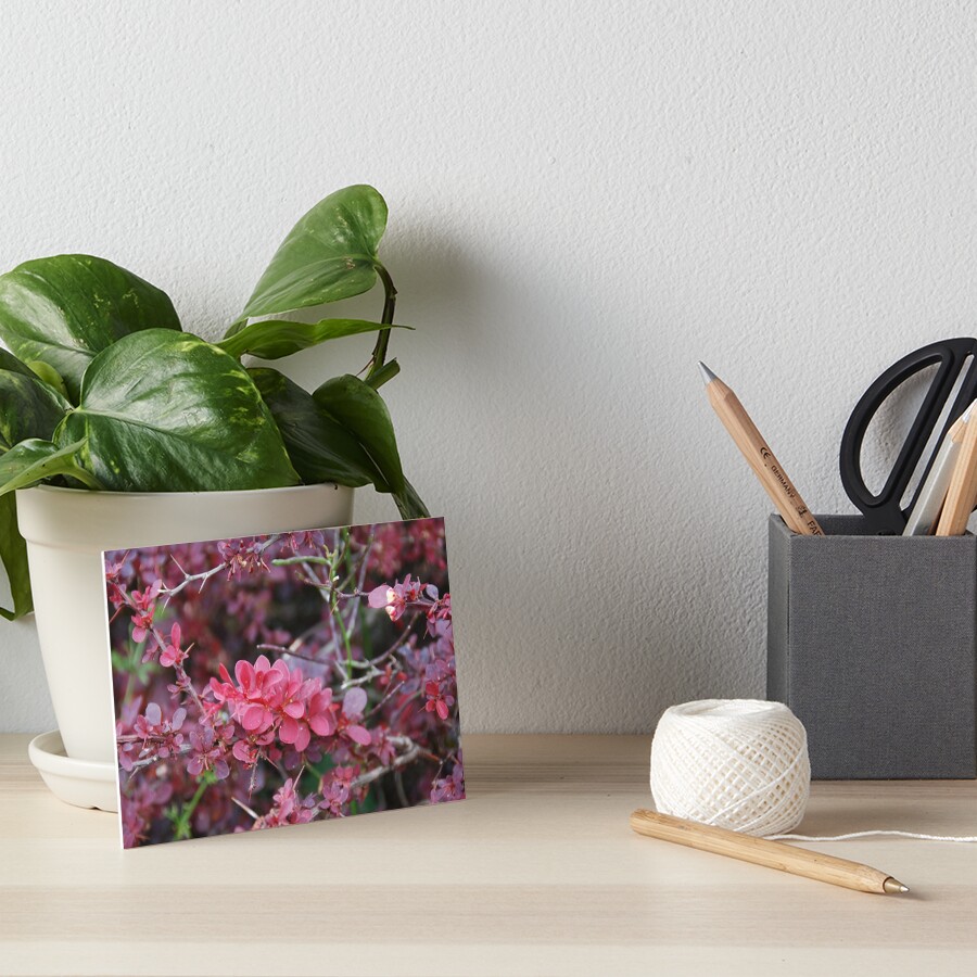 Flowers Art Board Print