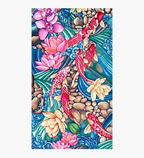 Koi Pond Photographic Print