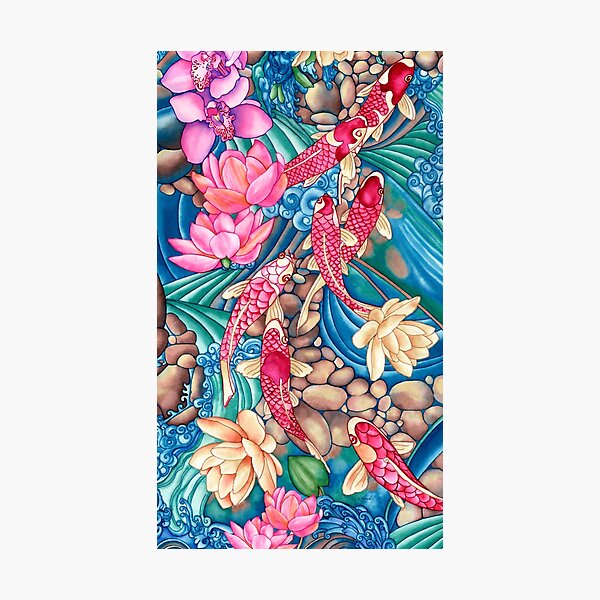 Koi Pond Photographic Print