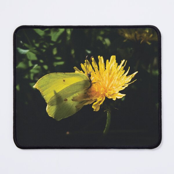 Item preview, Brimstone Butterfly and Delicate Dandelion Flower designed and sold by NinthOfSilver.