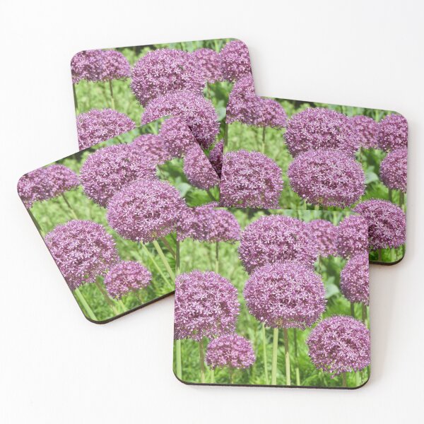 Item preview, Alliums in Bloom designed and sold by PhotosBySusanne.