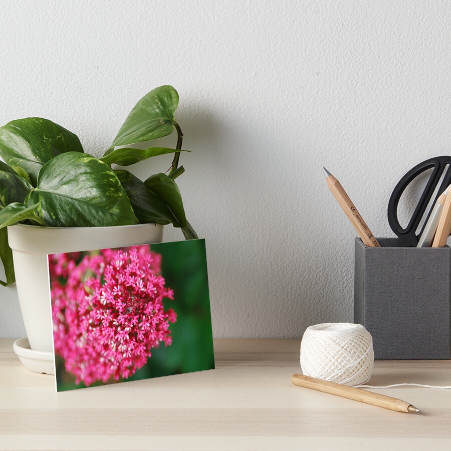Flowers Art Board Print
