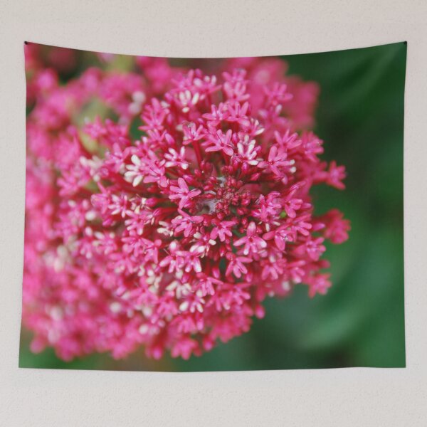 Item preview, Flowers designed and sold by Lindisfarne Scriptorium.