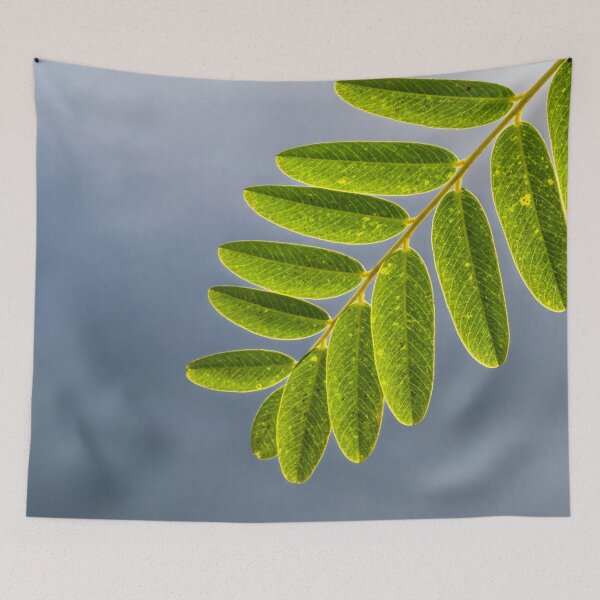 Item preview, Green Leaf, Grey Sky designed and sold by metriognome.