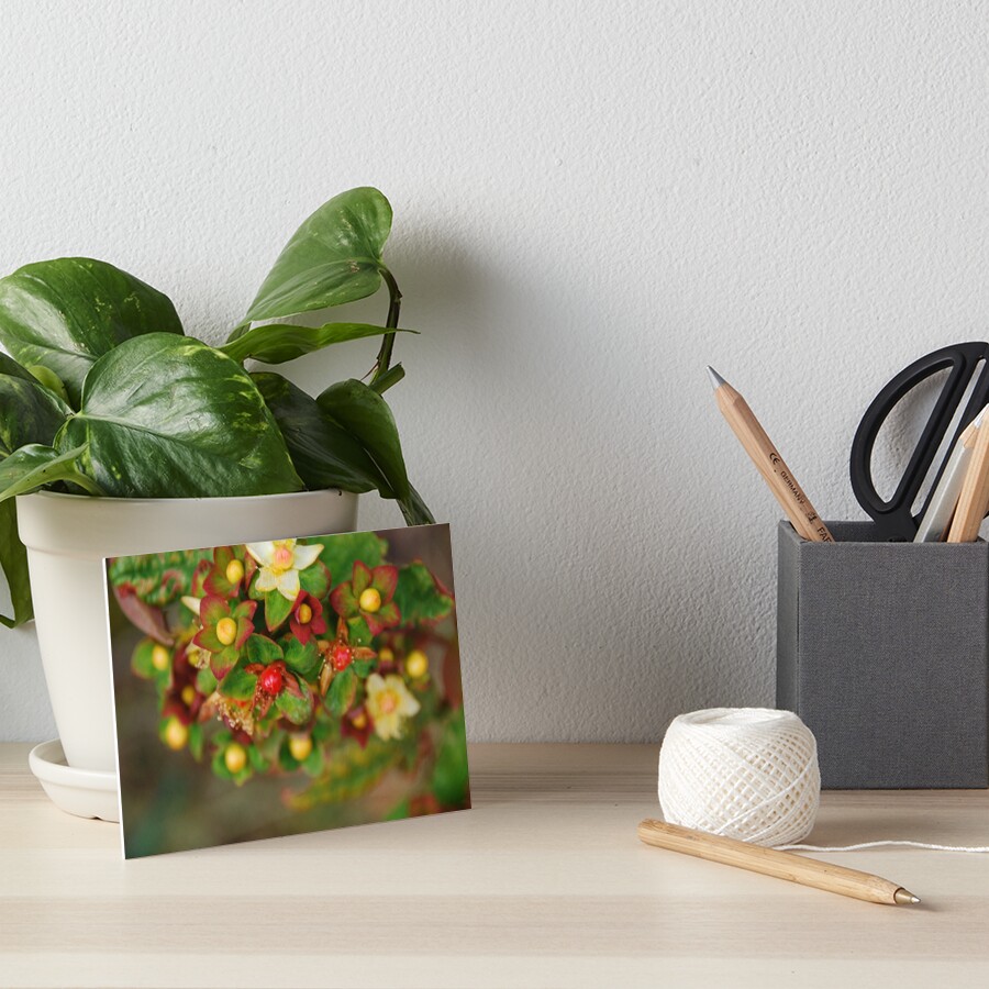 Flowers Art Board Print
