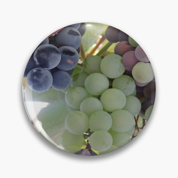 Item preview, Grapes and Vines designed and sold by PhotosBySusanne.