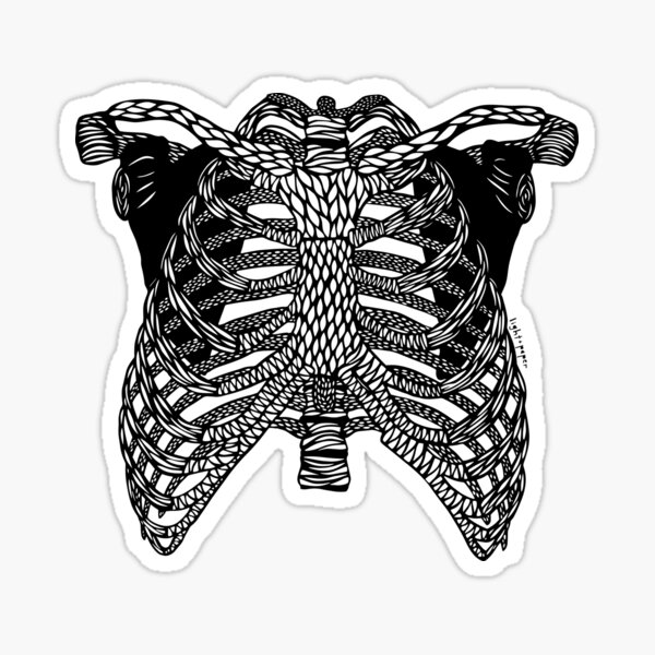Anatomical Ribcage - Black Print Sticker