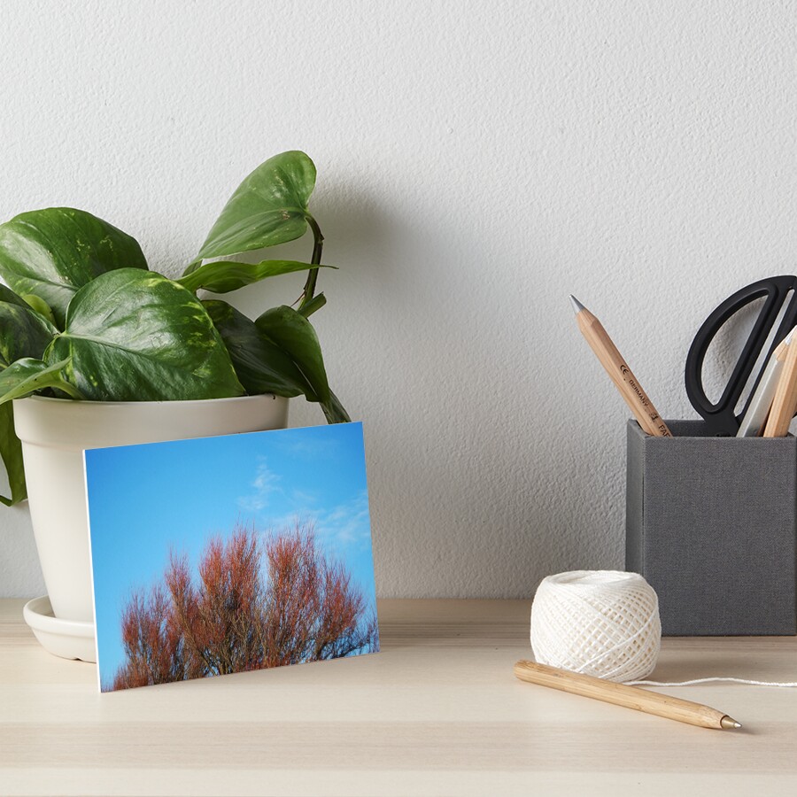 Flowers Art Board Print