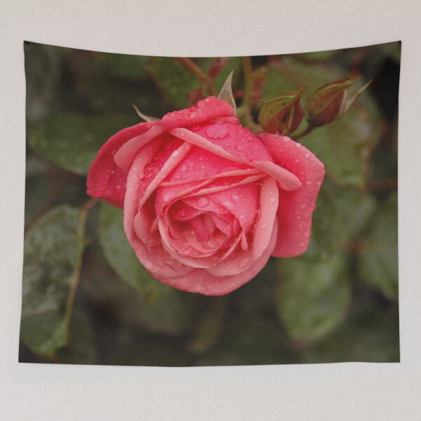 Item preview, Rose designed and sold by Lindisfarne Scriptorium.