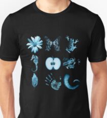 All nine glyphs of Fringe Slim Fit T-Shirt