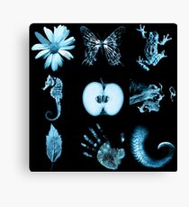 All nine glyphs of Fringe Canvas Print