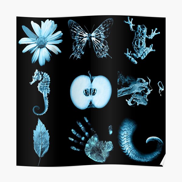 All nine glyphs of Fringe Poster