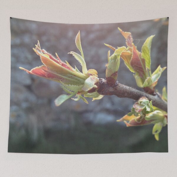 Item preview, Flowers designed and sold by Lindisfarne Scriptorium.