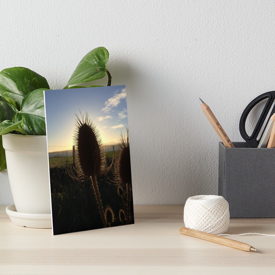 Flowers Art Board Print